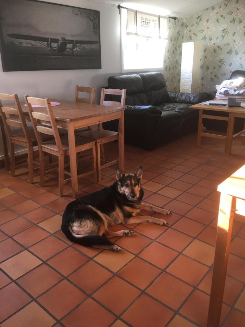 Vanga Hostel Εξωτερικό φωτογραφία